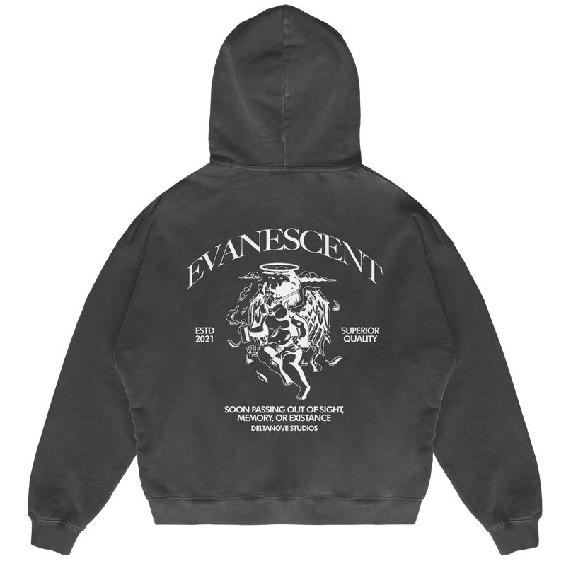 Felpa Hoodie Deltanove Evanescent