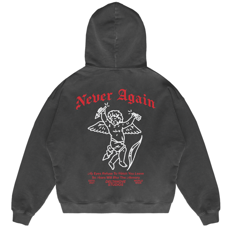Felpa Hoodie Deltanove Never Again